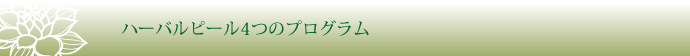 ハーバルピール4つのプログラム